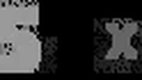 黄健翔预测：日本队有望在未来三届世界杯中进四强，并非意外之喜